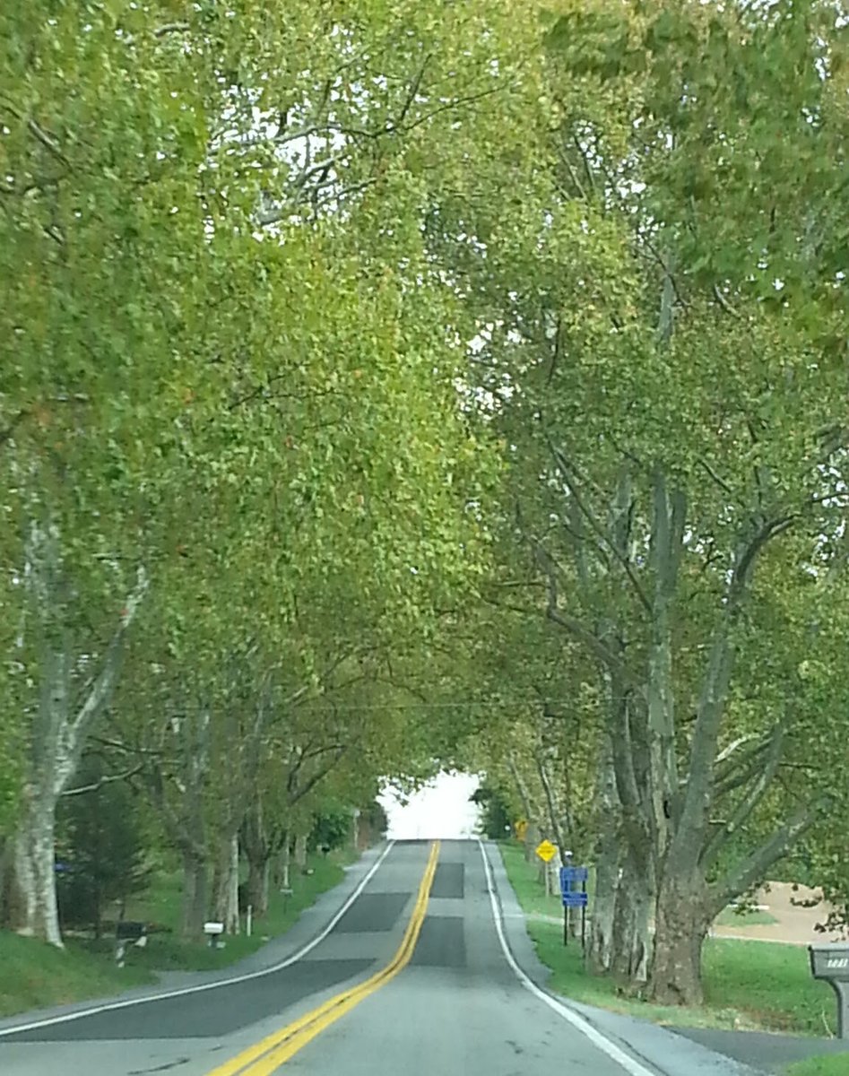 Sycamore Street, PA - Legislative Route 1 Sycamore Allee - Wikipedia